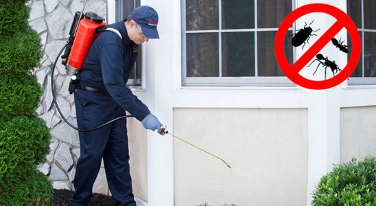 Atakent Kemirgen İlaçlama böcek ilaçlama ve haşere kontrolü — ilaclama-tr.com